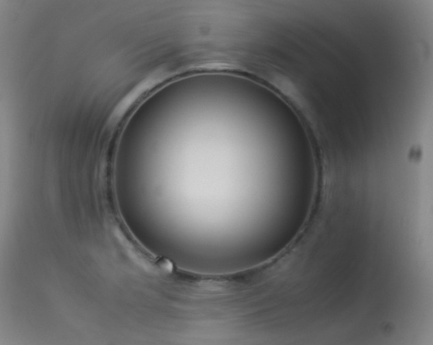 X0000113241181200909171555