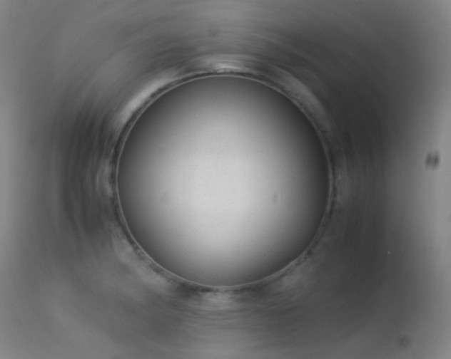 X0000113241182200909171555