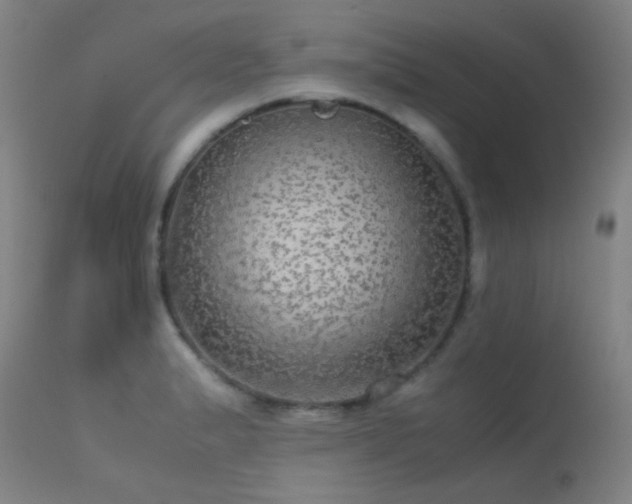 X0000113241183200909171555