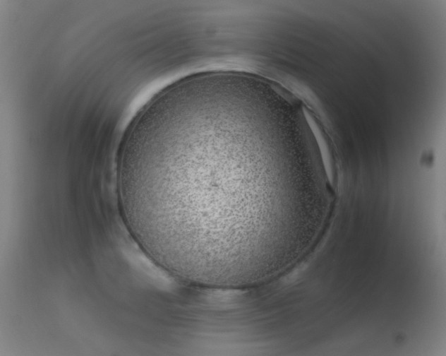 X0000113241184200909171555