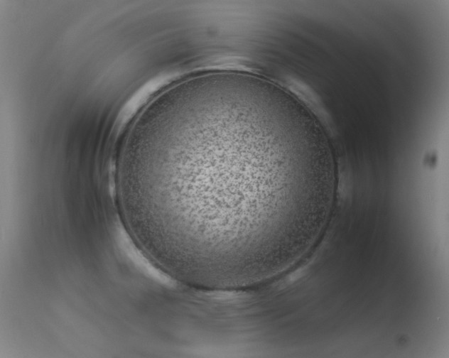 X0000113241188200909171555