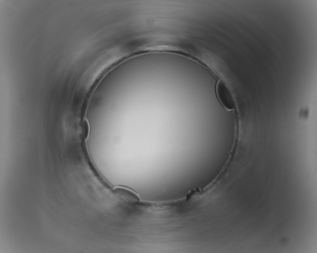 X0000113241189200909171555