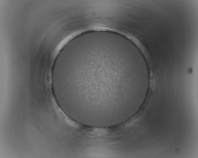 X0000113241191200909171555