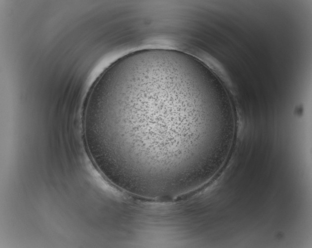 X0000113241192200909171555