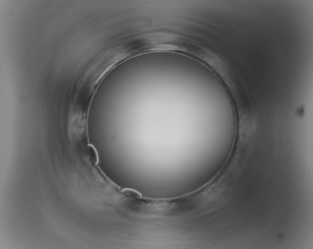 X0000113241193200909171555