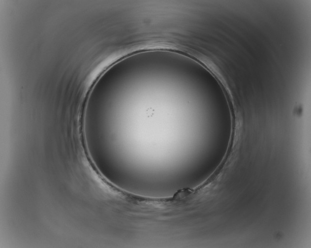 X0000113241197200909171555