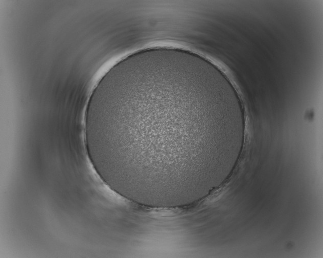 X0000113241199200909171555