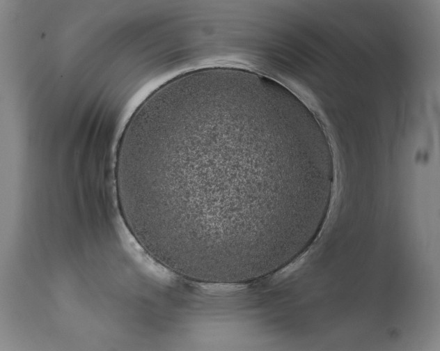 X0000113241200200909171555