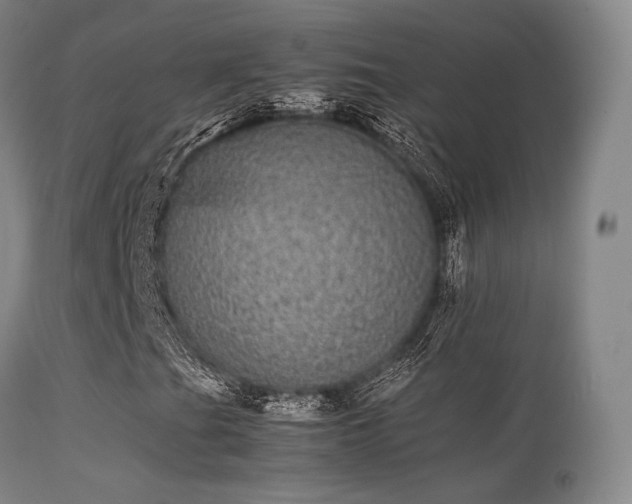 X0000113241201200909171554