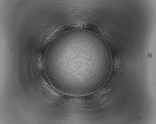 X0000113241202200909171554