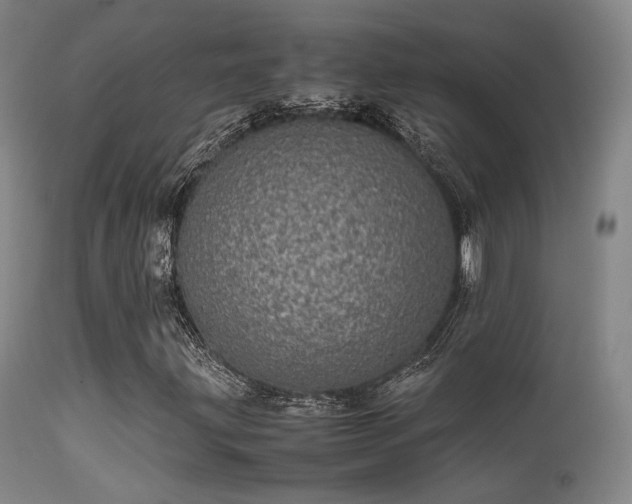 X0000113241203200909171554