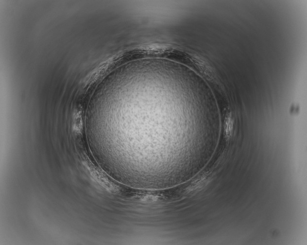 X0000113241204200909171554