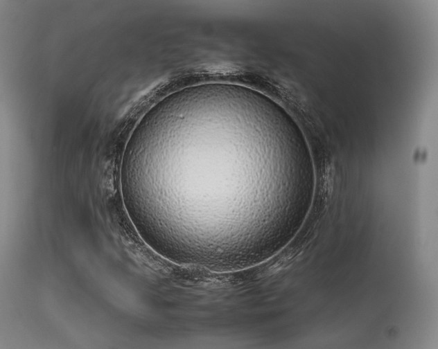 X0000113241205200909171554