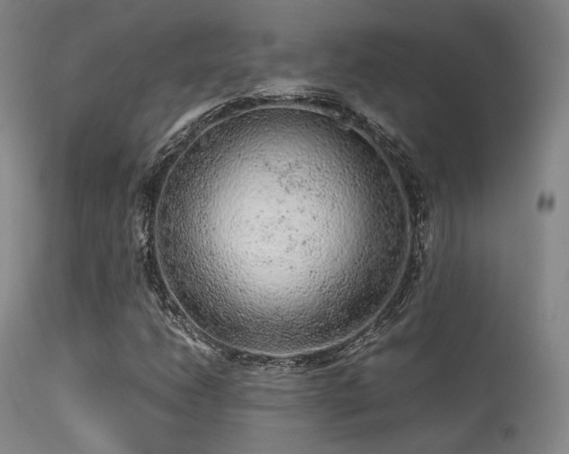 X0000113241206200909171554