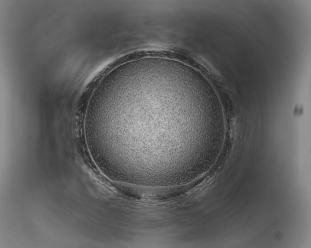 X0000113241208200909171554