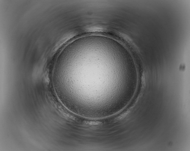 X0000113241209200909171554