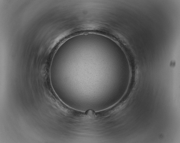 X0000113241210200909171554