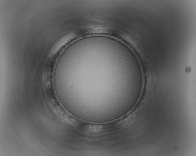 X0000113241211200909171554