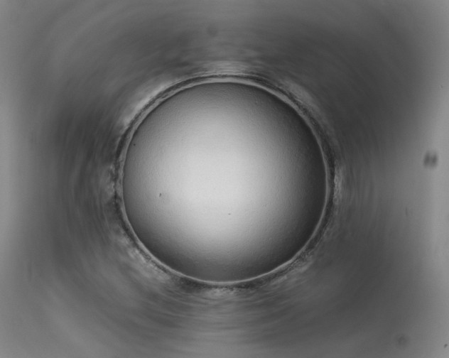 X0000113241212200909171554