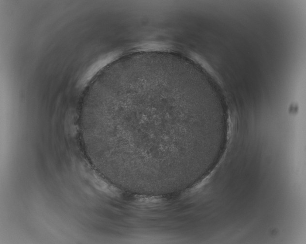 X0000113241213200909171554