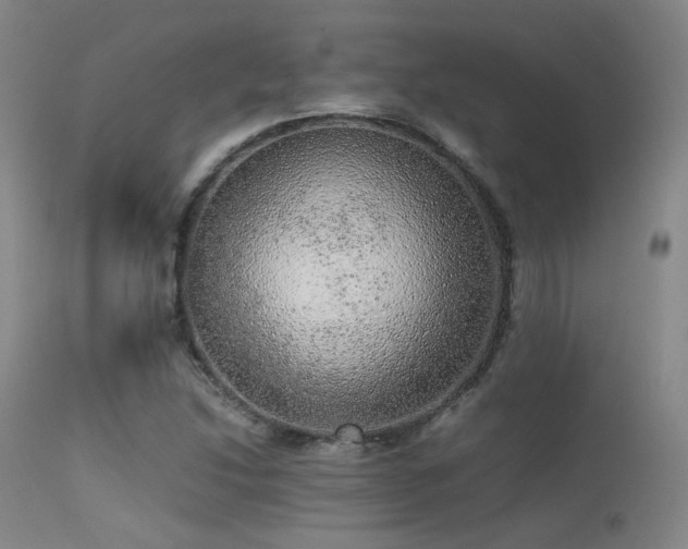 X0000113241214200909171554