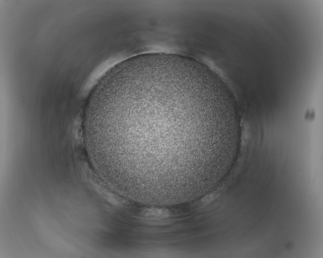 X0000113241215200909171554