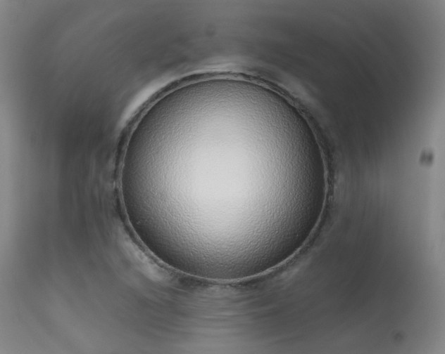 X0000113241216200909171554