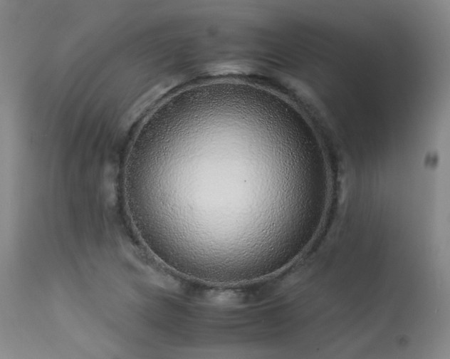 X0000113241217200909171554