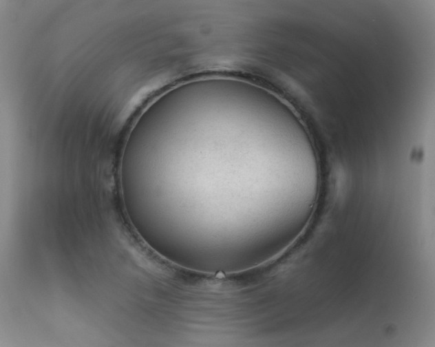 X0000113241218200909171554