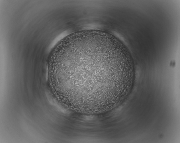 X0000113241219200909171554