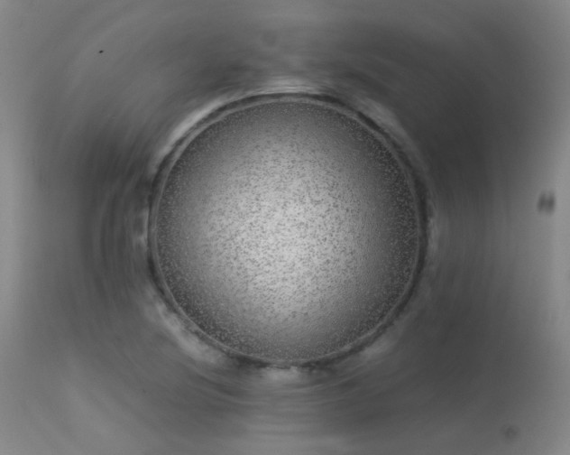 X0000113241220200909171554