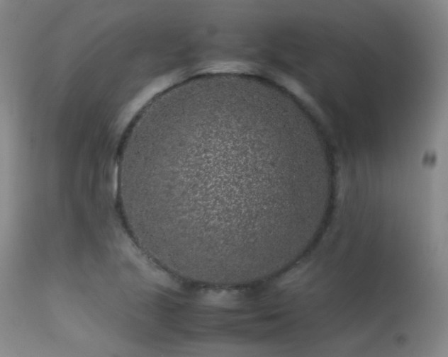 X0000113241221200909171554