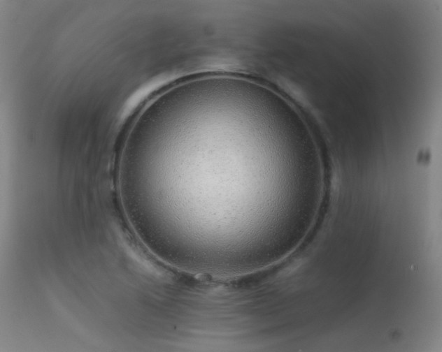 X0000113241222200909171554