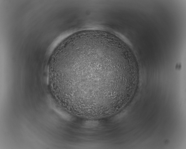 X0000113241223200909171554