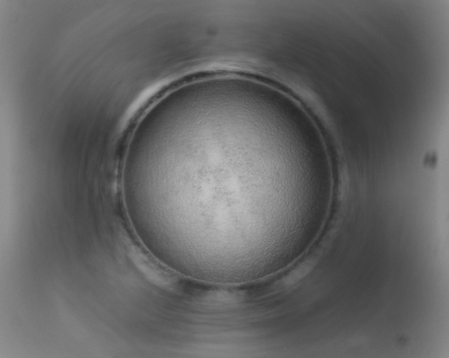 X0000113241224200909171555