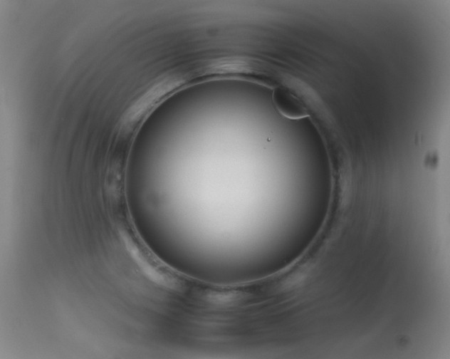 X0000113241225200909171555