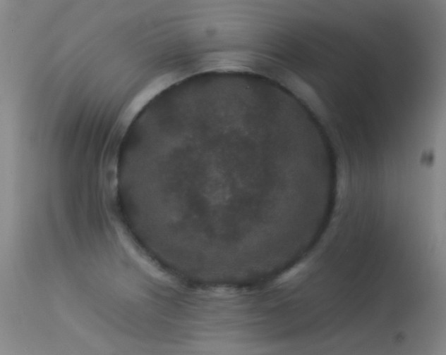 X0000113241226200909171555