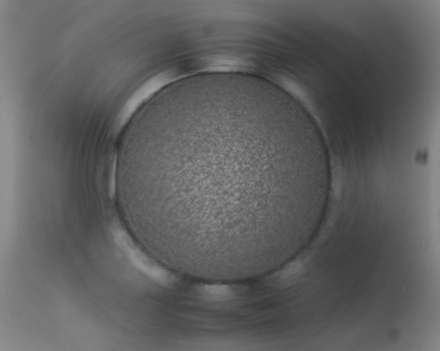 X0000113241227200909171555