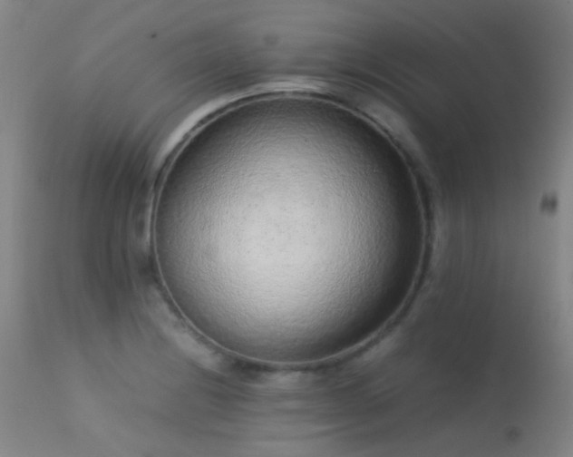 X0000113241228200909171555