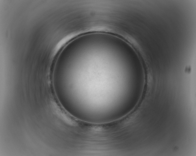 X0000113241230200909171555