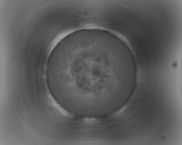 X0000113241231200909171555