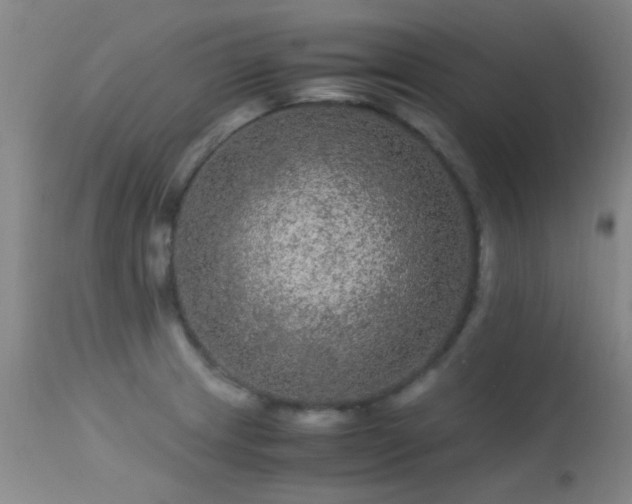 X0000113241233200909171555