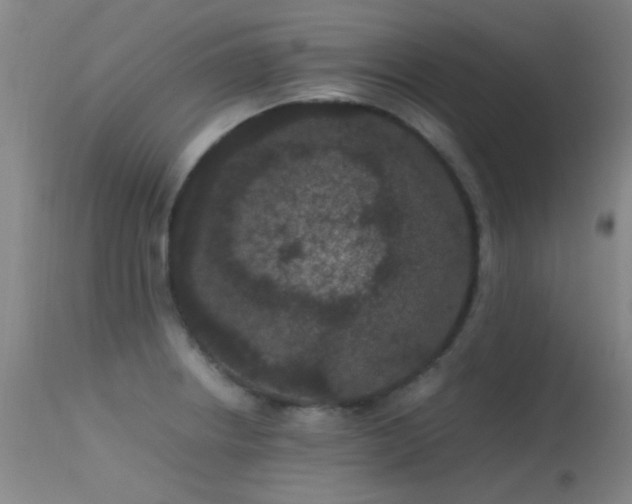 X0000113241234200909171555