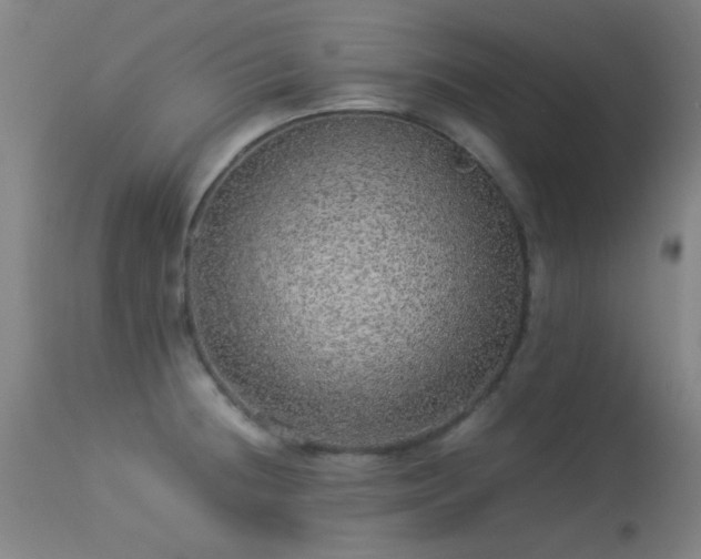 X0000113241236200909171555