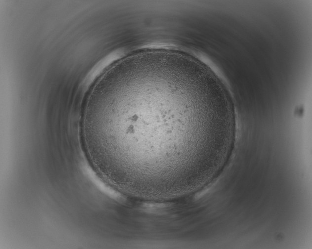 X0000113241237200909171555