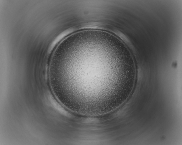 X0000113241238200909171555