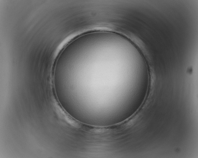 X0000113241240200909171555