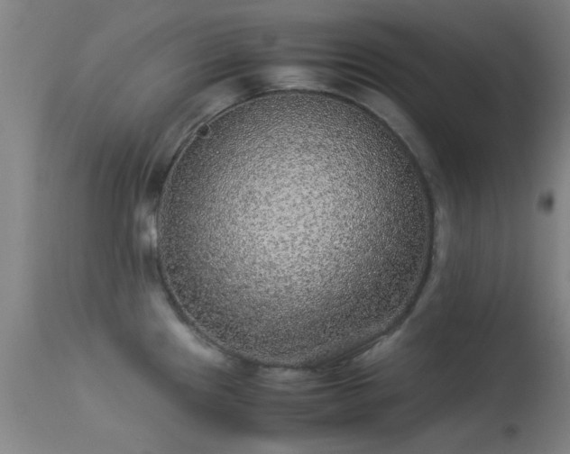 X0000113241241200909171555