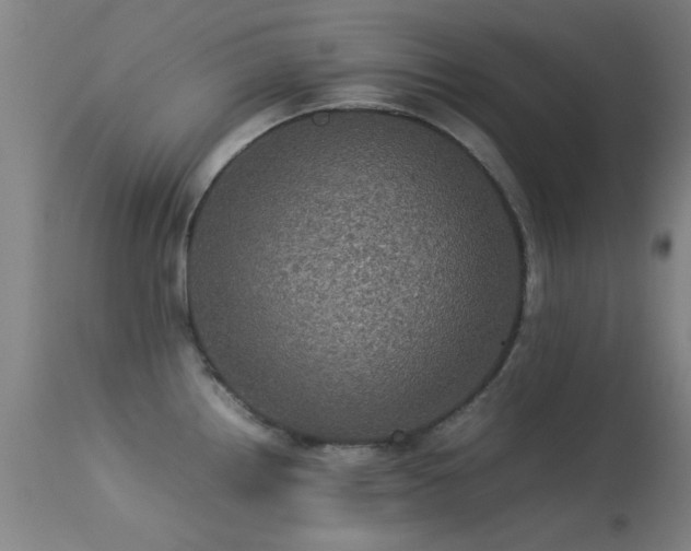 X0000113241242200909171555