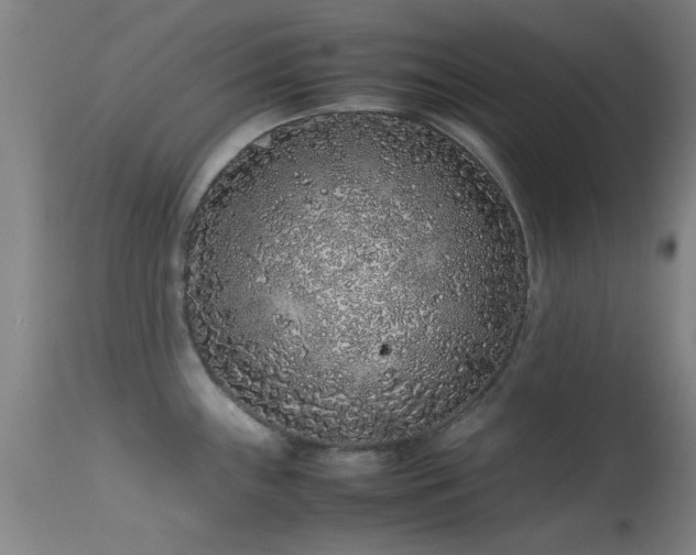 X0000113241243200909171555